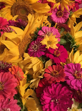 Load image into Gallery viewer, Cut Flowers